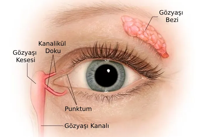 What Can Be Done to Improve Tear Quality?